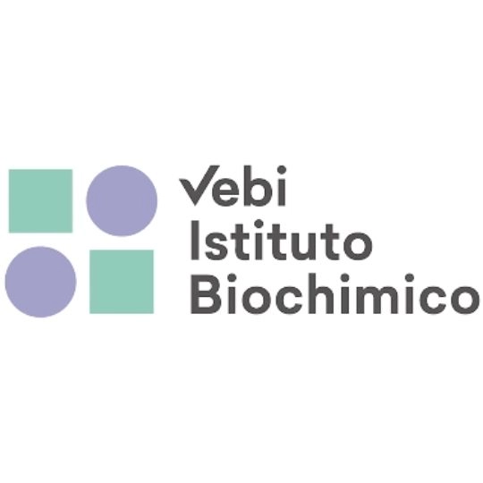 logo vebi